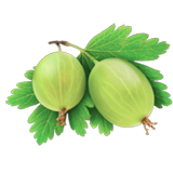 amla beere vitamin c phytholistic rohstoff
