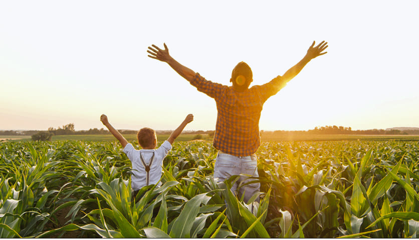 cellavent ingredients nachhaltigkeit mann und junge im feld