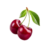 cherrypure sauerkirschen mit blatt