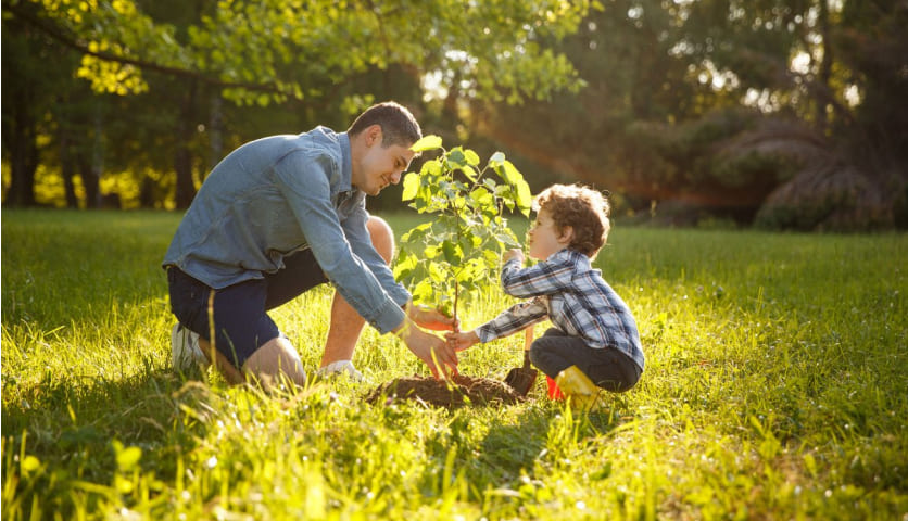 nachhaltigkeit vater und sohn pflanzen baum